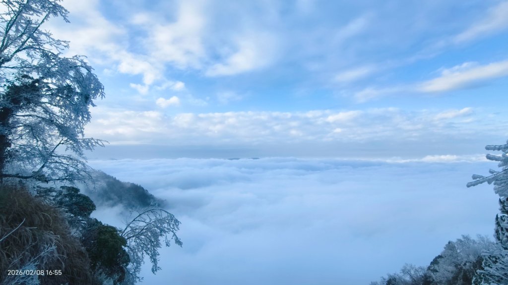 #霧淞 #雲海 #雲瀑 #霧虹 #太平山 #望洋山 #觀雲步道 #翠峰道路  2/8_2995315