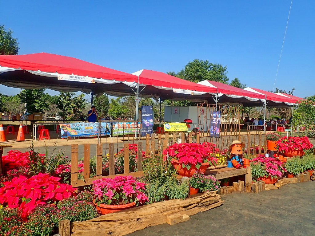 2019新社花海2019/11/12_734696