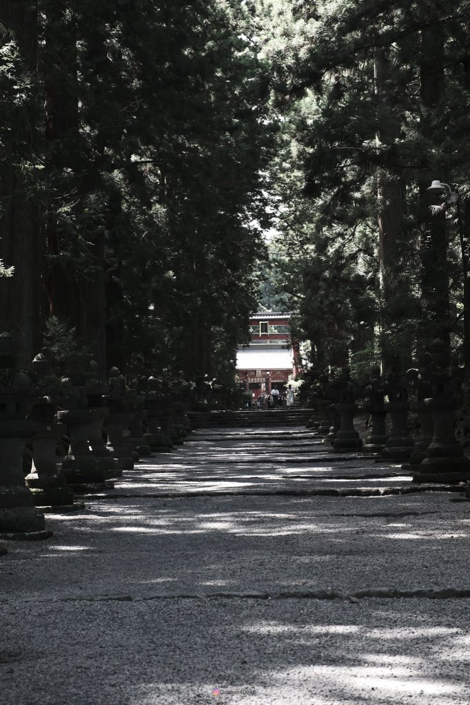 2024富士山_2599474