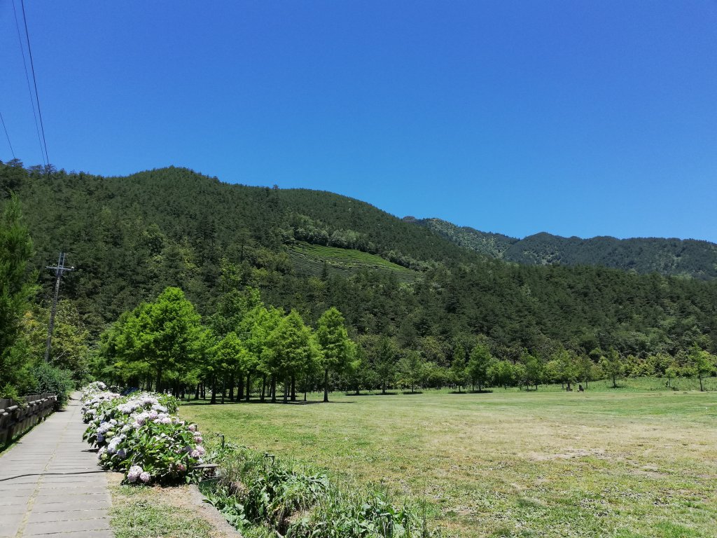 武陵很美，一路走來更美_631596