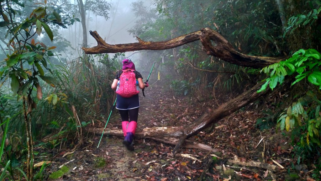 小百岳【三腳南山】_915732