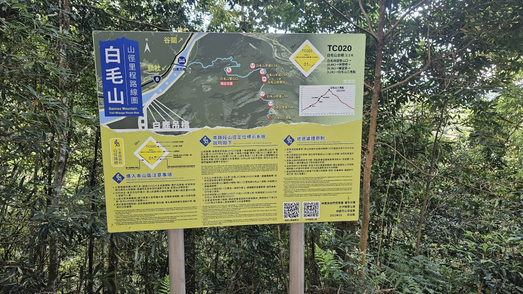 【美美兔走山趣】谷關抓雄-老六白毛_2749943