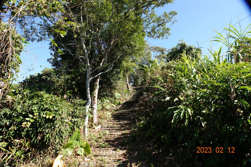嘉義 竹崎 大坑山_2032210