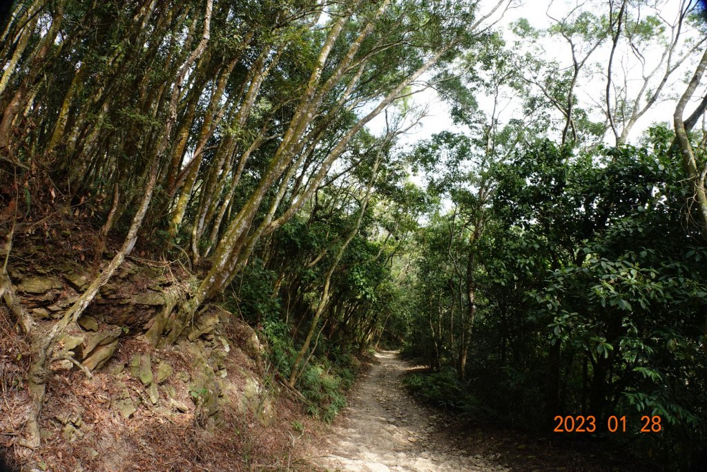 屏東 瑪家鄉 白賓山、真笠山_2020149