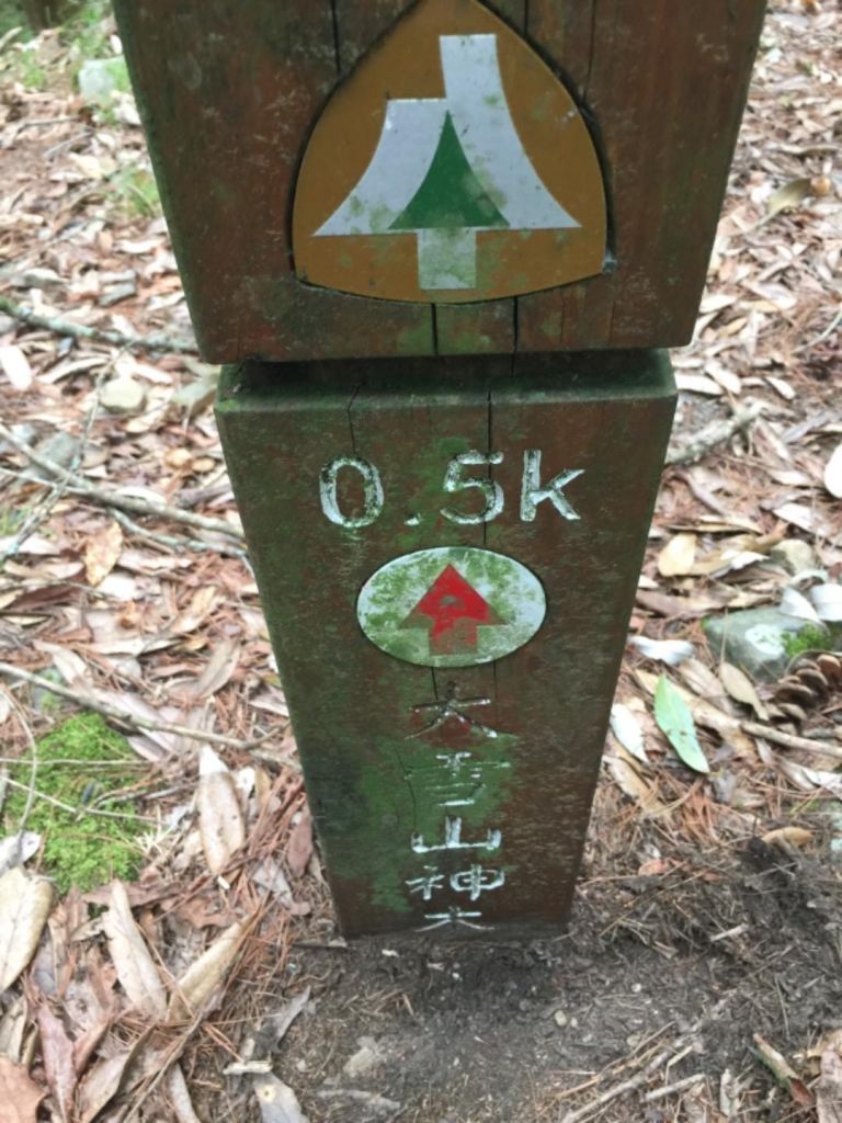 2018/05/18大雪山毛地黃盛開_334171