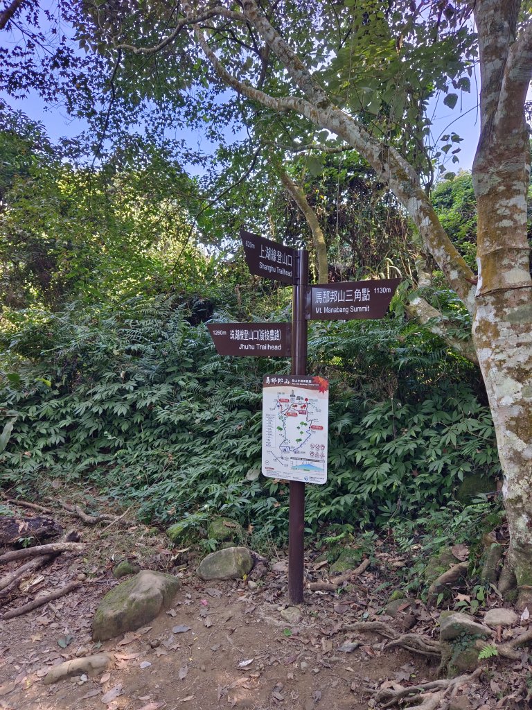 馬那邦山看楓紅/遠望聖稜線/180度大景視野_2358871