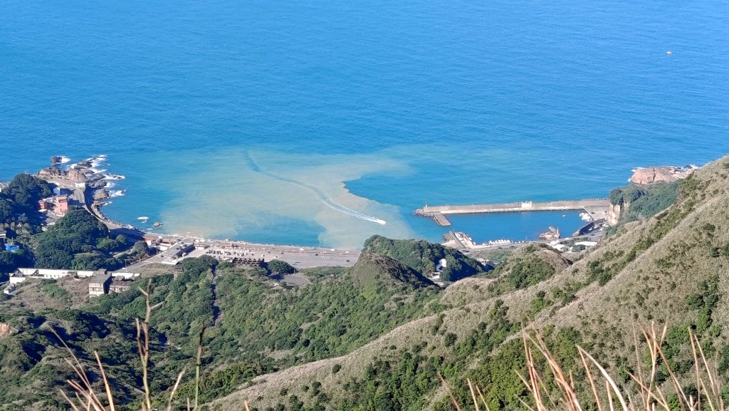 找一個晴天去爬山~金瓜石芒花之旅_2962460