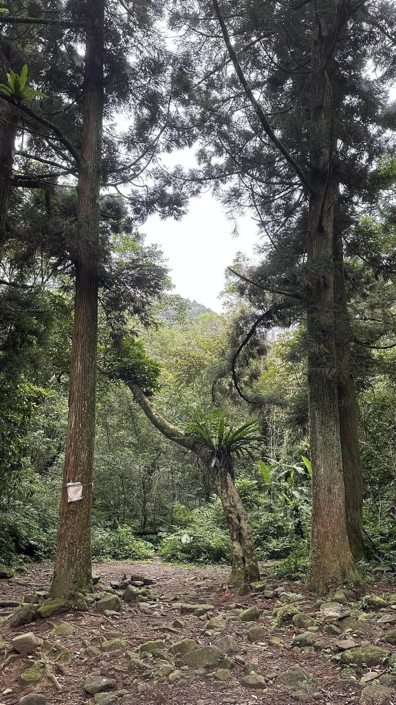 20231029熊空林道_2354601