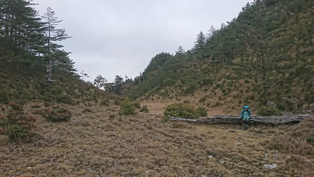 20250125 伊加之蕃-卑南東稜_2715196