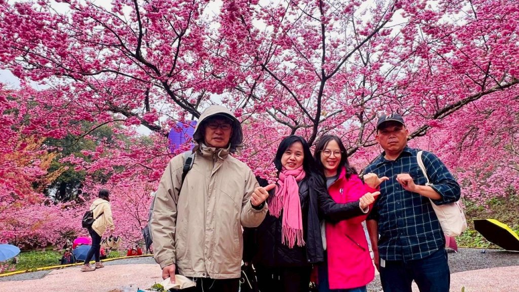 🌈3/1（日）福壽山農場~千櫻園✨FB：熊熊趴爬走🌈_3008552