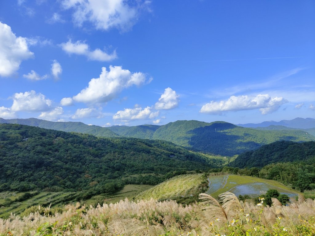2023.11.23 桃源谷內寮線登灣坑頭山_2503567