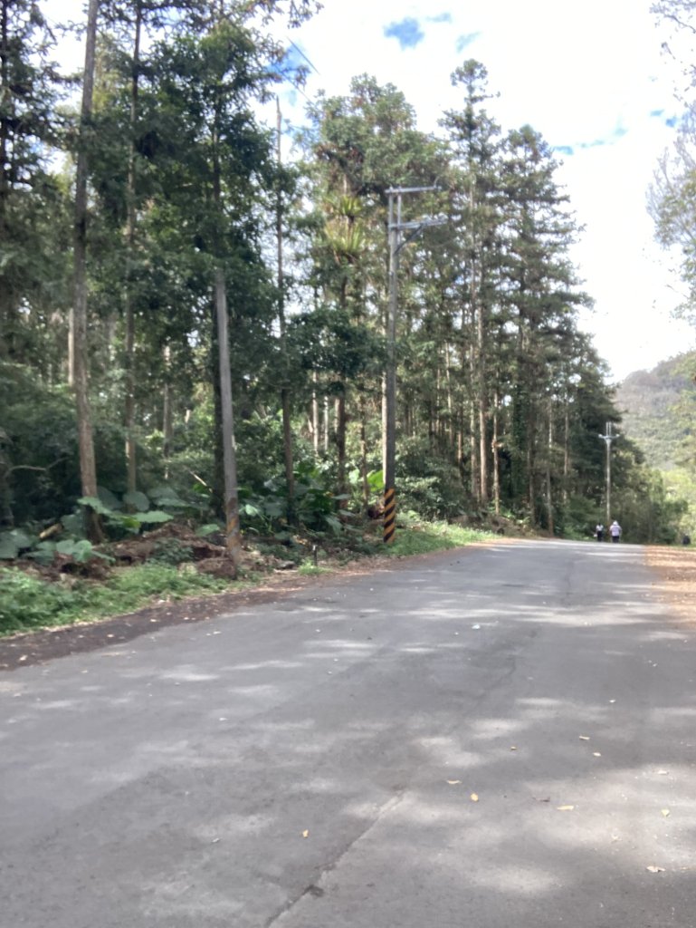 雪山坑環線步道封面圖