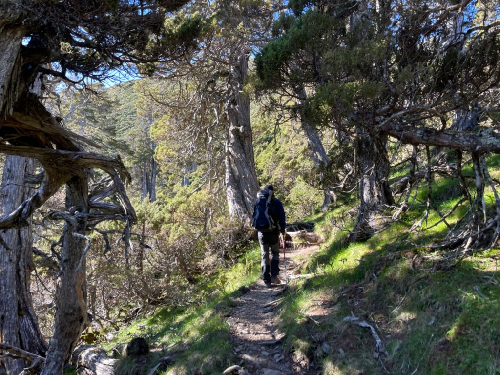 雪山翠池、北稜角兩天一夜_1742969