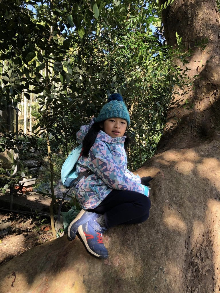 20221218苗栗鳴鳳古道_2113505