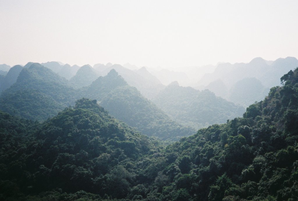 越南卡巴國家公園 - 底片封面圖