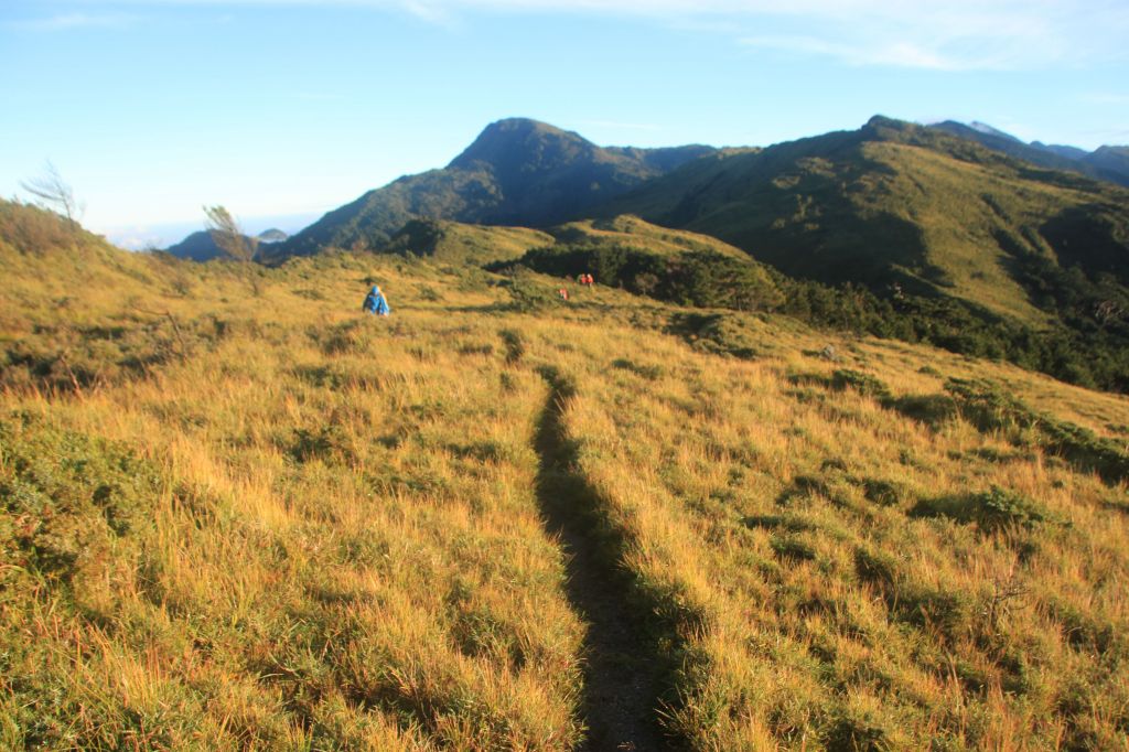 難開放的南一段_139615