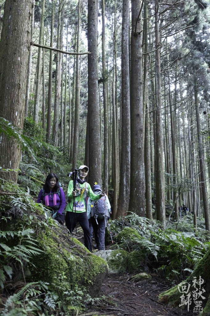20241228之向天湖山 加里山 哈堪尼山 虎山西南峰 南大龜山 三角湖山_2688693