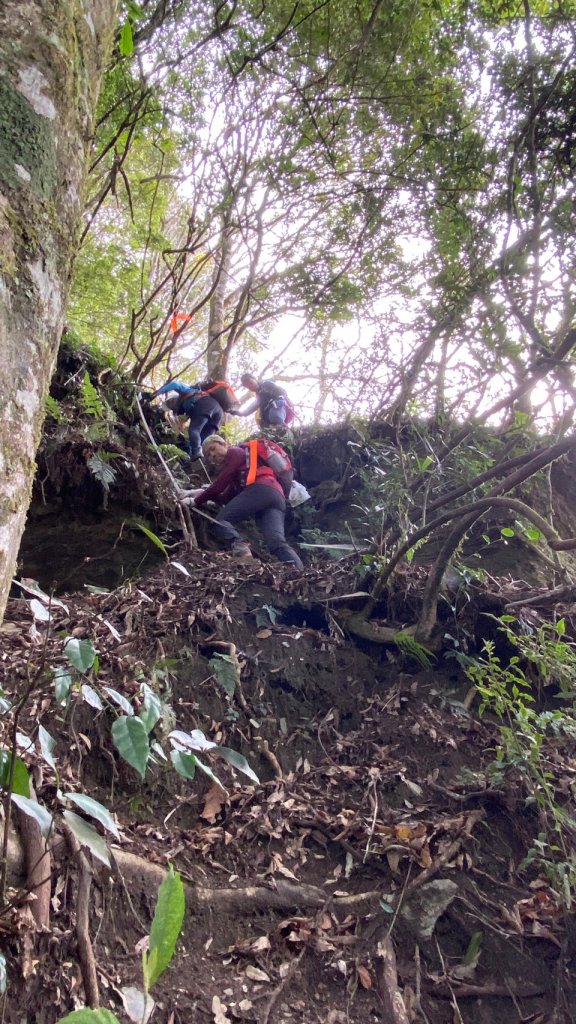 2022年02月13日(彰山協)南投日月潭四兄妹之中級山~大尖山縱走水社大山_1613365