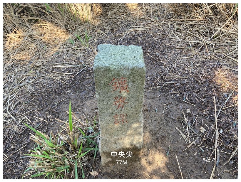 中央尖、山背伯公步道O型路線封面圖