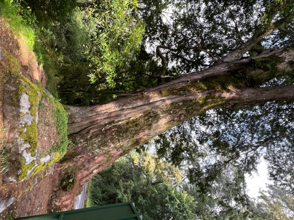 南橫三星_1790752