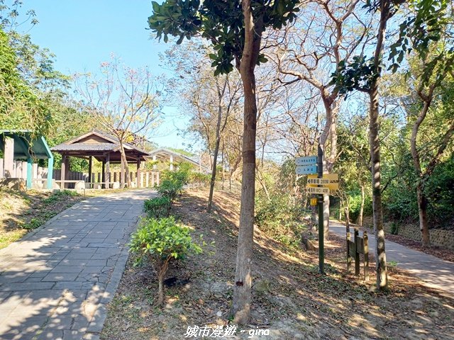 【苗栗】貓貍山公園功維敘隧道_2981682