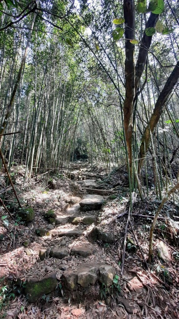 《苗栗》馬那邦山｜ 上湖線＞天然湖O巡20210220_1277317