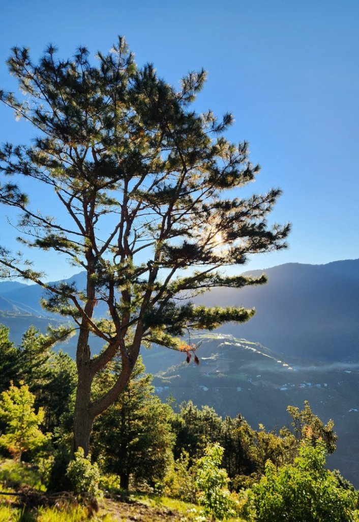 【中級山】馬武霸山，實至名歸的百岳觀景台_2937709