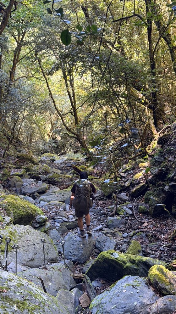 中央尖山 2025 11/7 三天兩夜_2935769