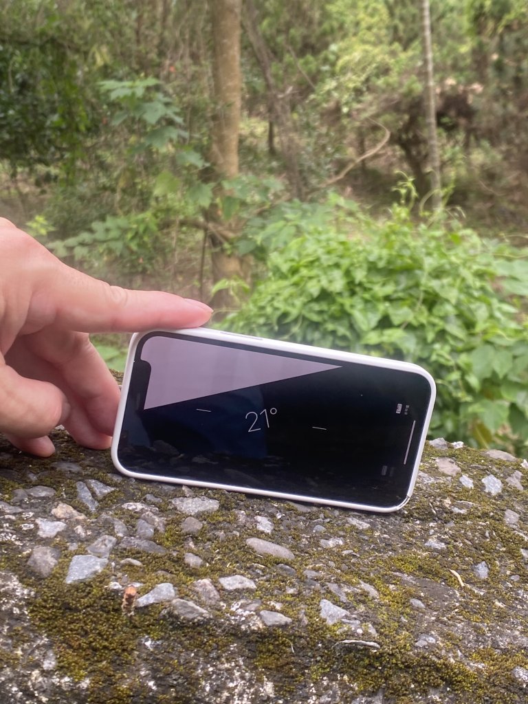 20250614-《皮皮獅秘密任務啟動！搶先探路三段崎古道｜森遊竹縣鐵粉任務大公開》_2852097