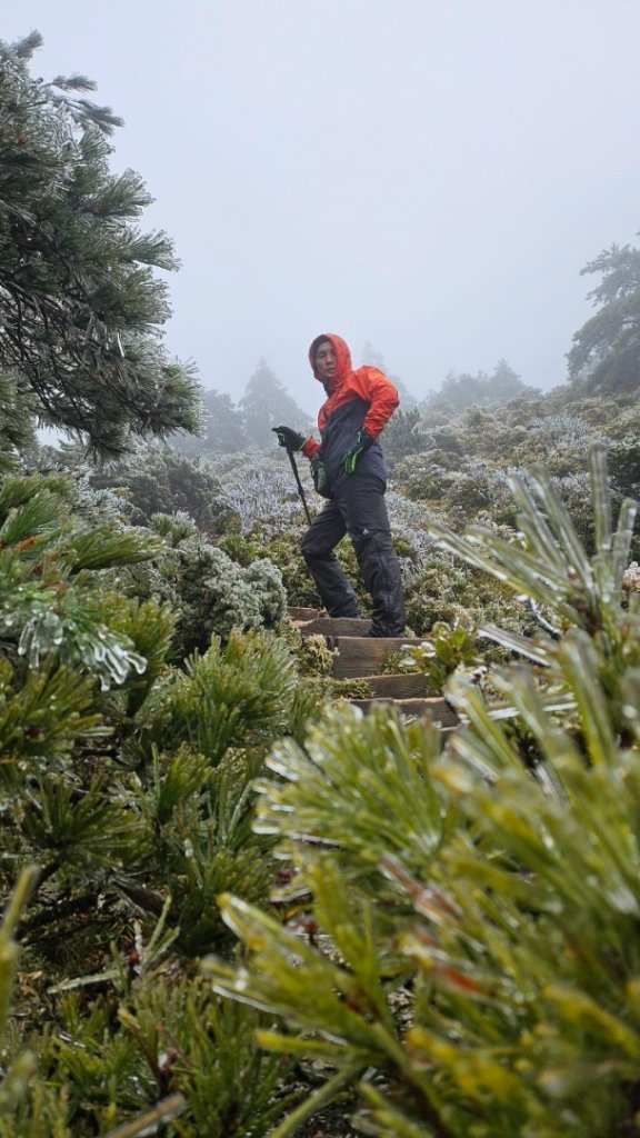 20250319～20嘉明湖國家步道🥶🥶🥶殘念😭_2739748