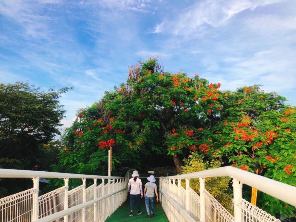 早晨的八卦山天空步道_376898