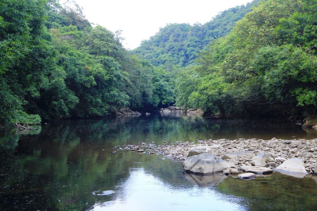 北勢溪古道_345191