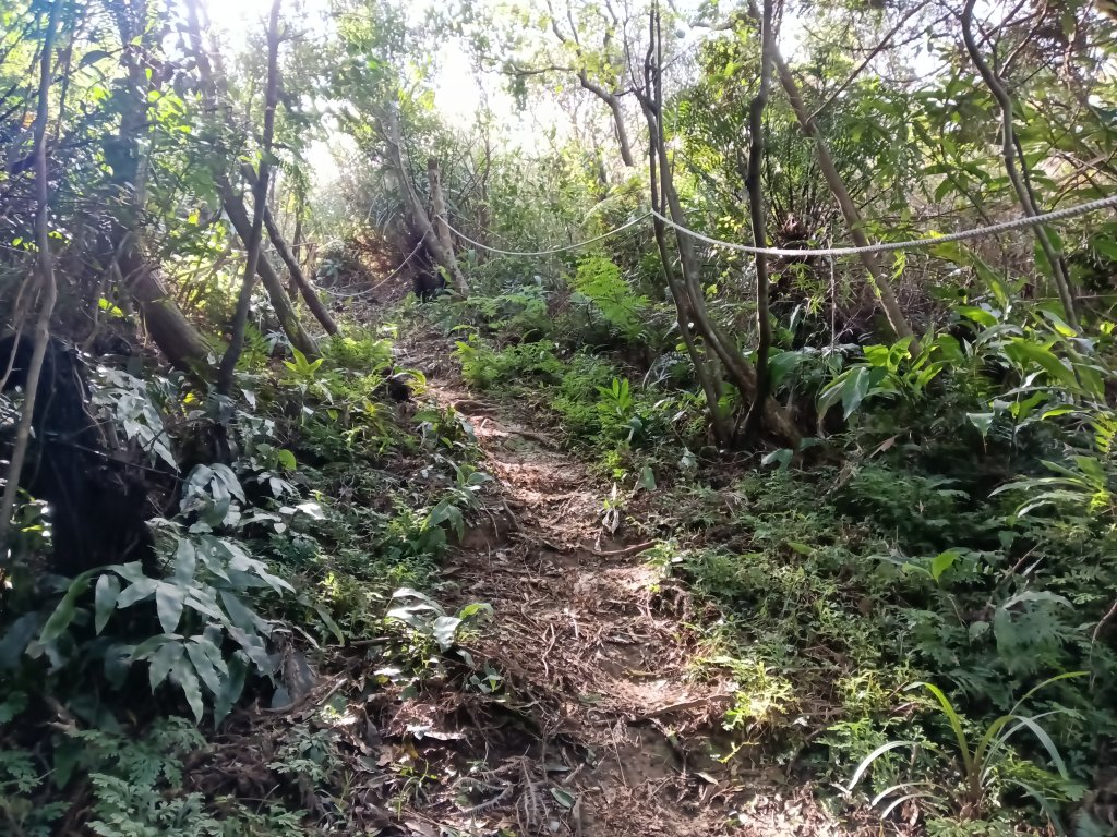 基隆市/萬里區界寮縱走之三界山+三界山西峰+開眼尖山+七分寮山+瑪七產道山泉水接水亭_2979599