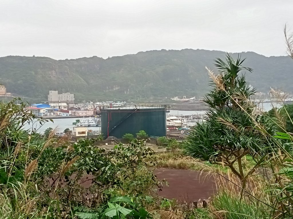 樂以忘憂的忘憂谷步道【南山神壽任務】_1962500