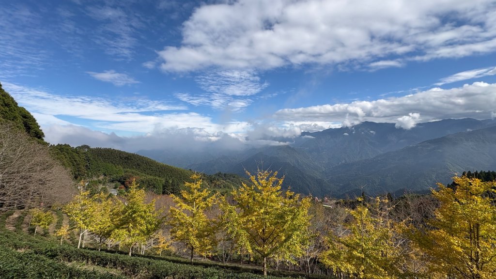 鵝黃色的優雅封面圖