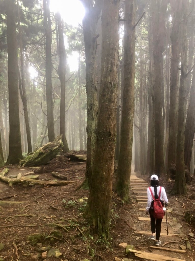 特富野古道封面圖