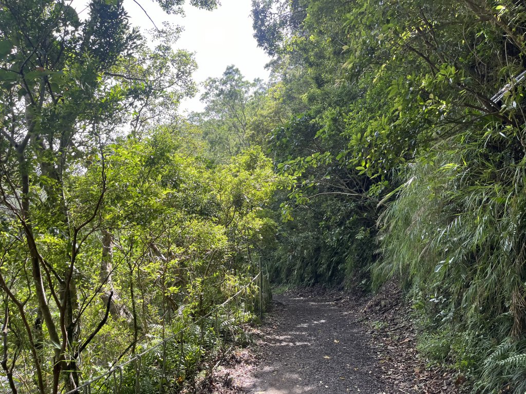 [屏步青雲 尋寶任務-03/10] 2024_0917 雙流國家森林遊樂區（瀑布步道）_2597763