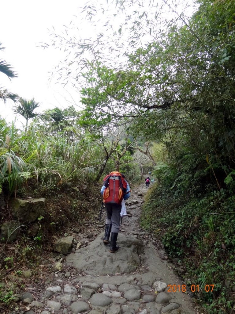 台南第一高山大凍山_240795