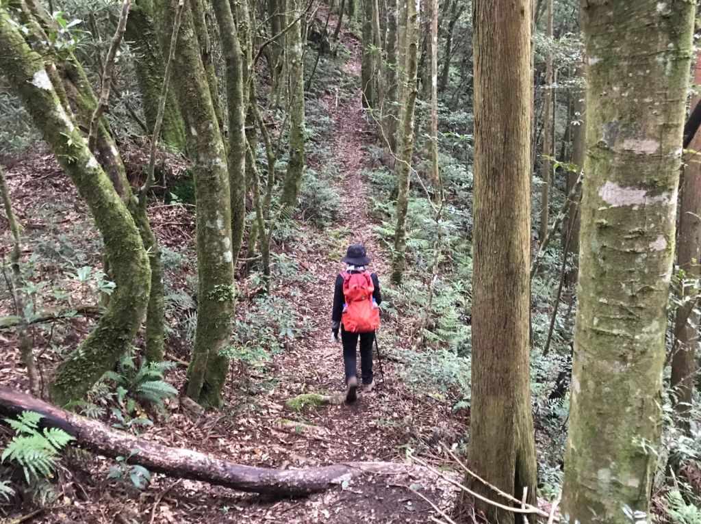 大混山連走李崠山_397968