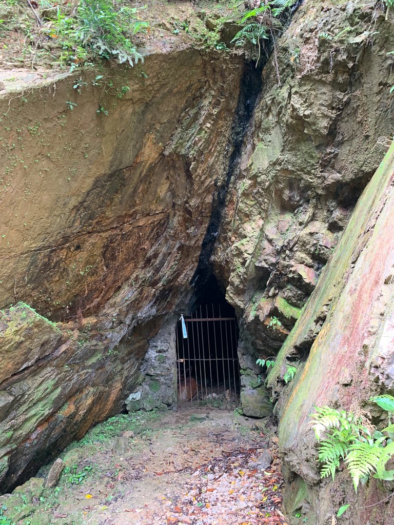 【淡蘭中路】崩山坑~虎豹潭古道 | 單日健行好去處_1023675