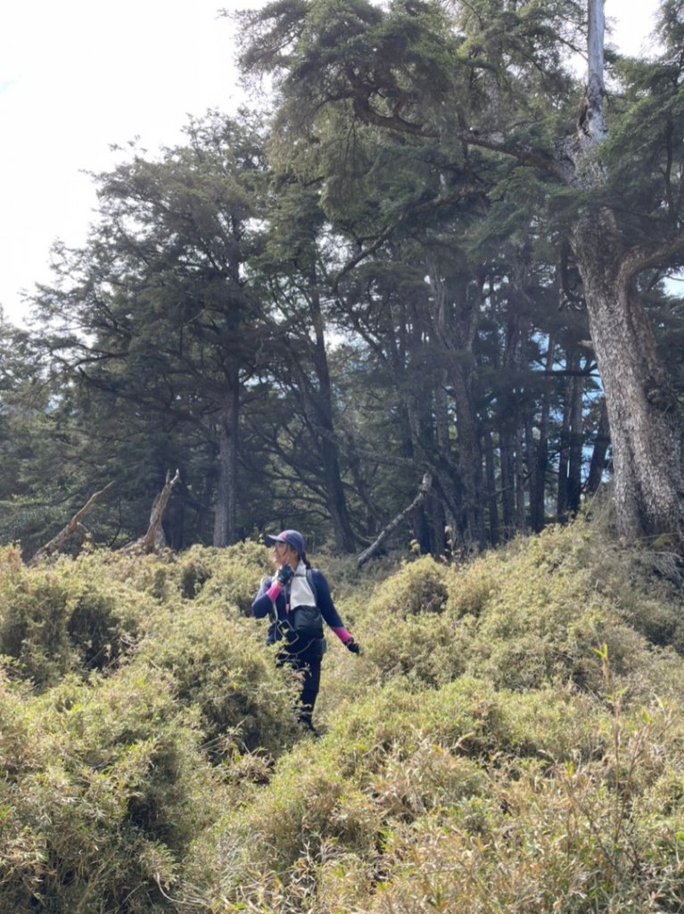 楠梓仙溪上南玉山_1373011