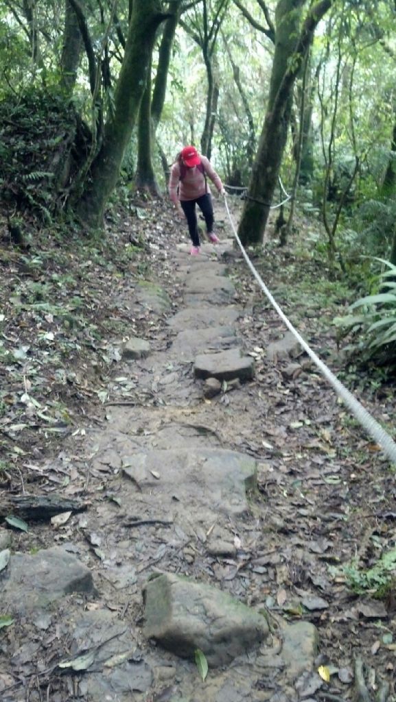 103.12.20 大榕樹 南邦寮山 二格山 O型路線_189881