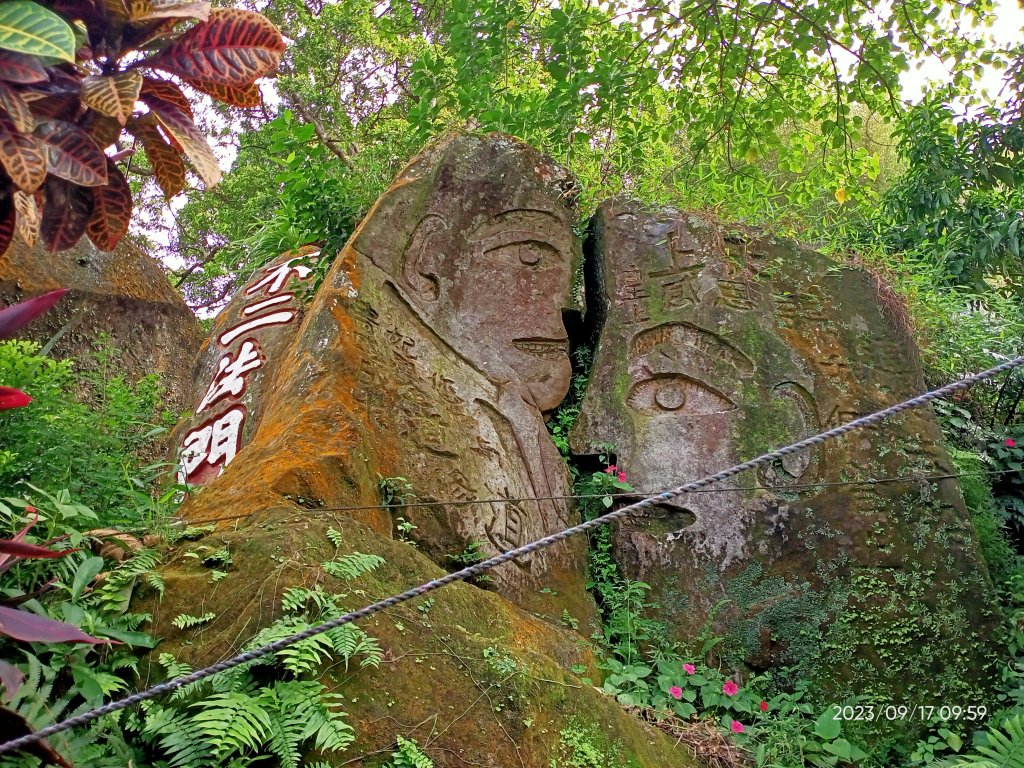 象山秘境、象獅豹虎-四獸山連走步道【走路趣尋寶、健康大穀東】封面圖