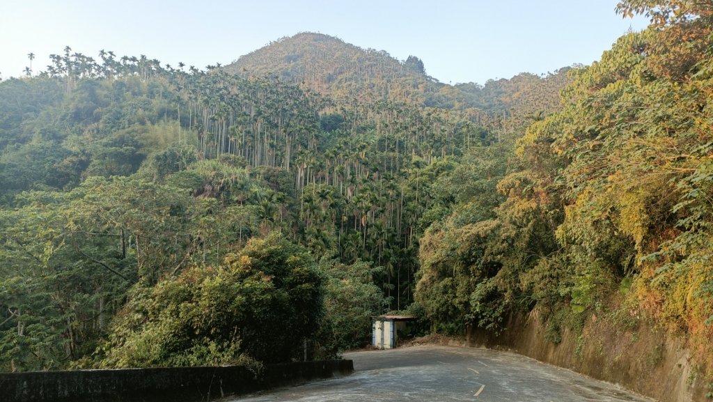 大巃頂後花茶園 2021年12月5日_1538711