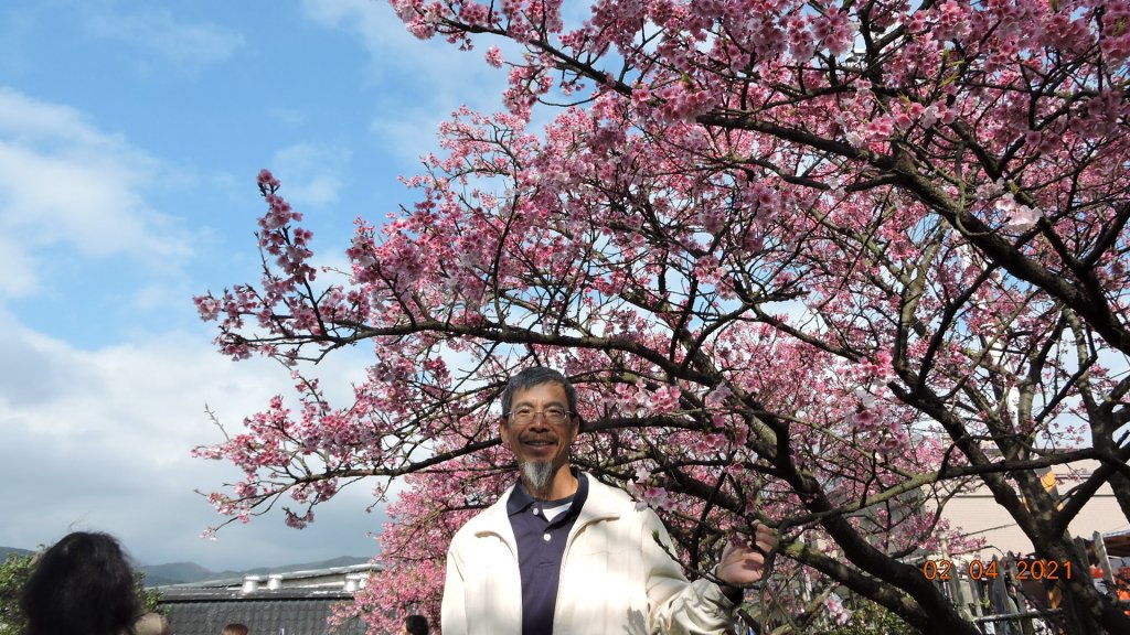 花花世界_1258578