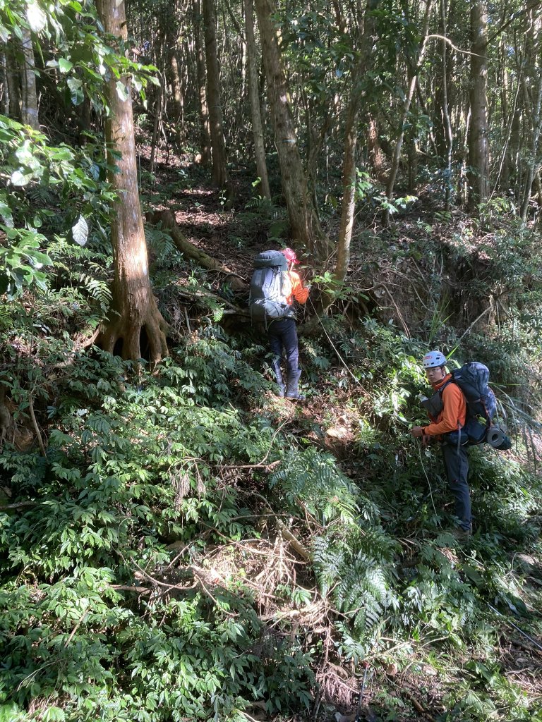 20231118-19六龜警備道_藤枝段_2352996