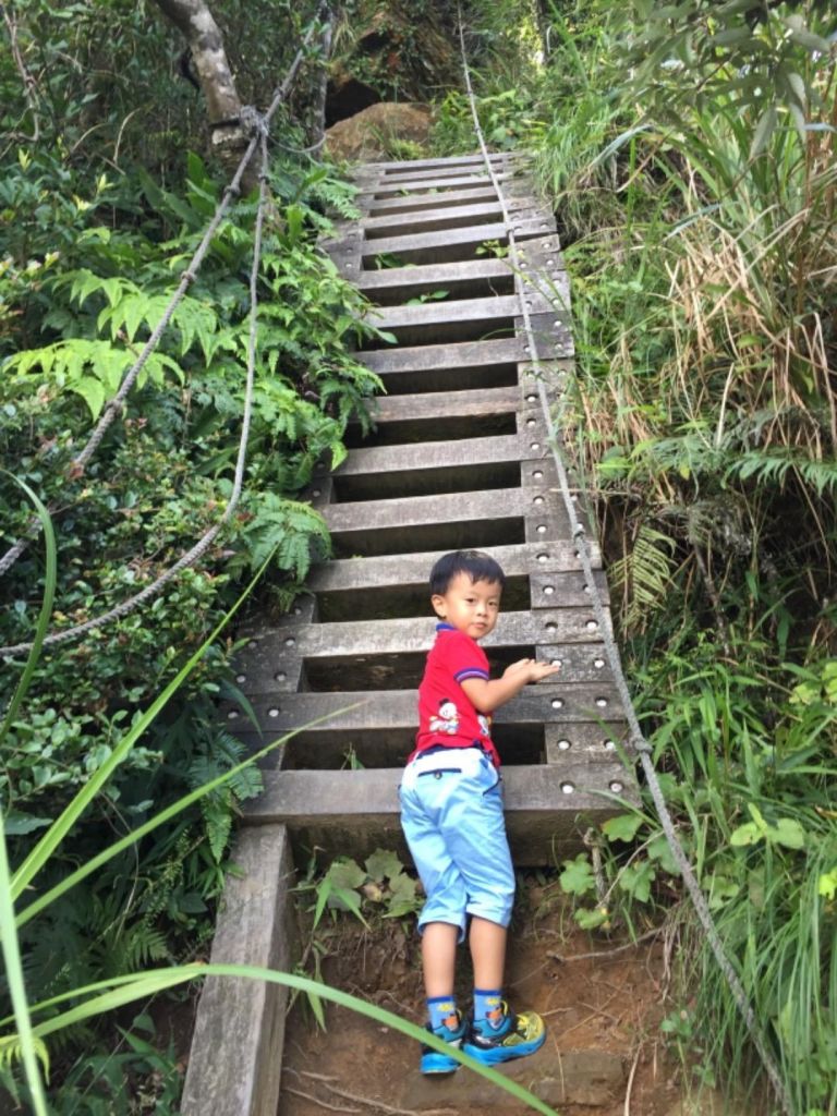 獅仔頭山隘勇線登山步道 小百岳No.20_398280