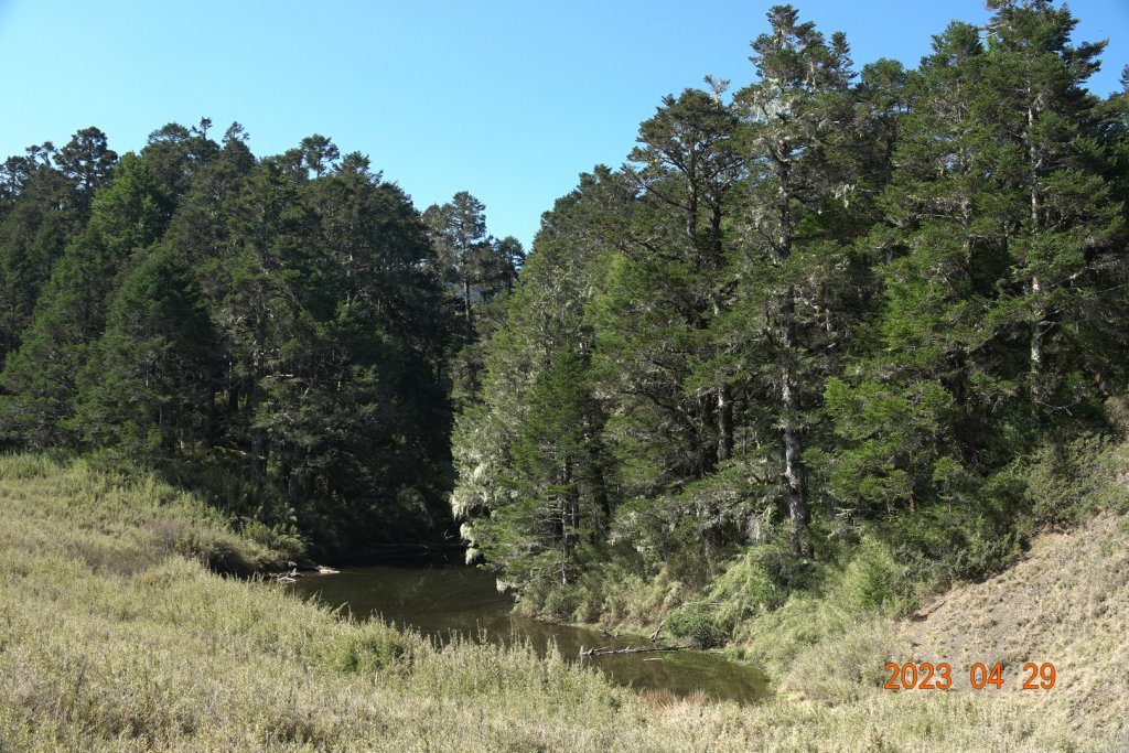 南投 仁愛 武法奈尾山_2133785