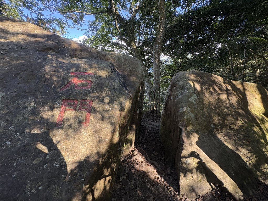 馬那邦山登山步道_2925137
