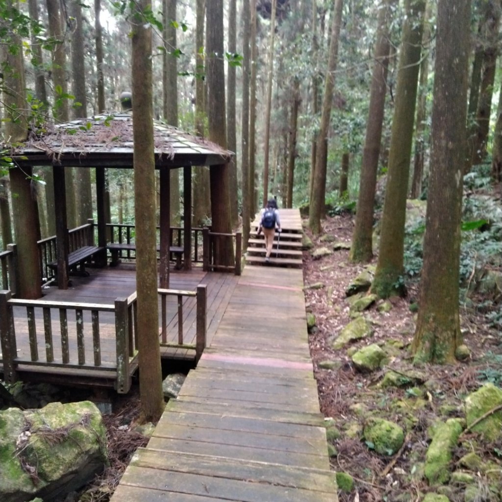 1090128年初四奮瑞古道健走_816928